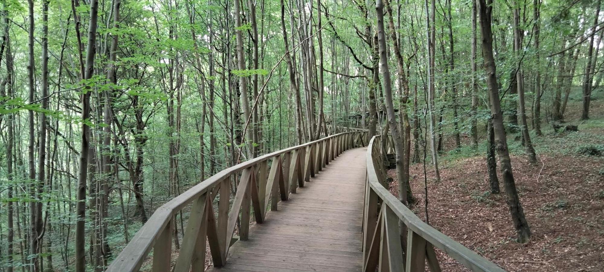 El Mirador De La Hayuela, A 7 Min De Comillas Esterno foto